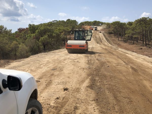 Cost of Driveway Grading in Cranston