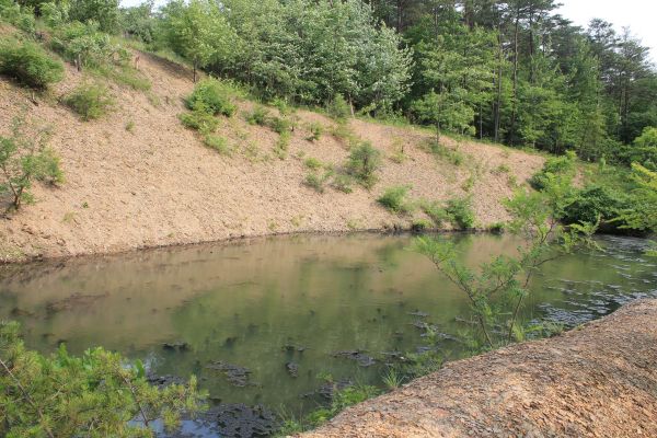 Cost of Pond Erosion Repair in Cranston