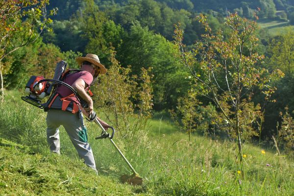 Cost of Slope Trimming in Cranston